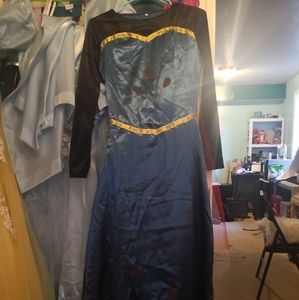 Elsa dress for adult